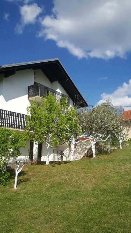 Apartment Silvia Slunj Bagian luar foto