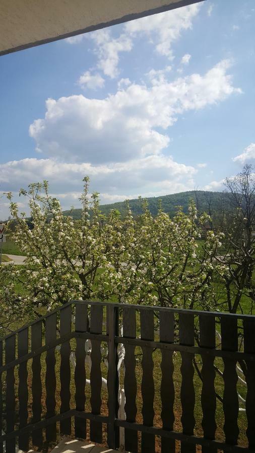 Apartment Silvia Slunj Bagian luar foto